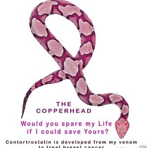 Meet your Posher, Dara